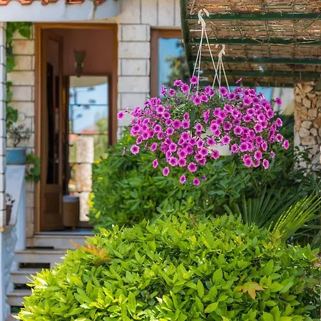 Villa Luxury In With Pool