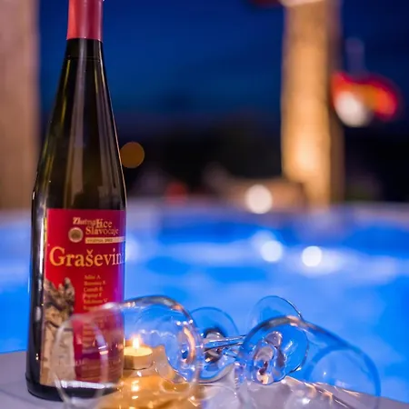 Luxury In With Pool Rogoznica (Sibenik-Knin)
